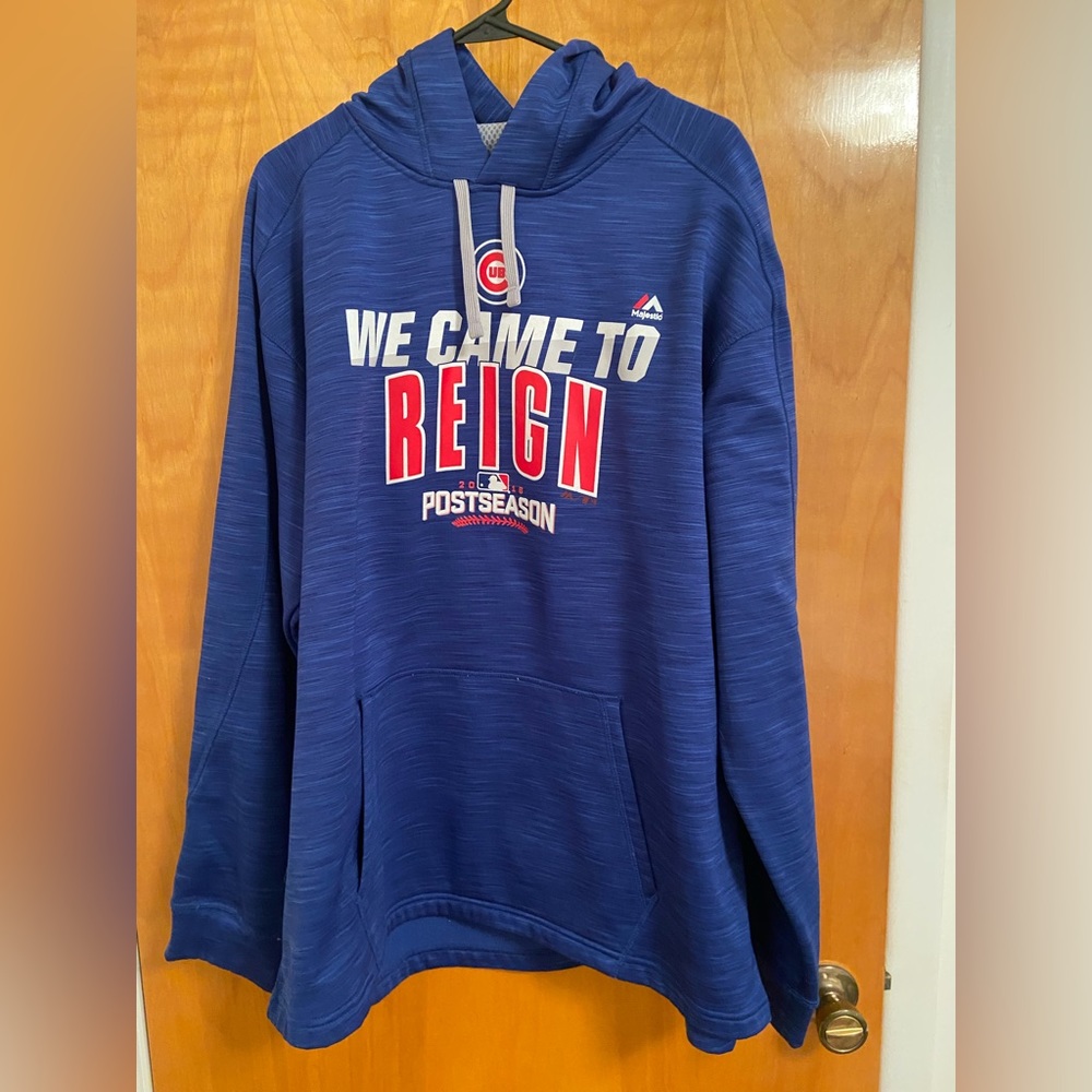 Cubs World Series hoodie